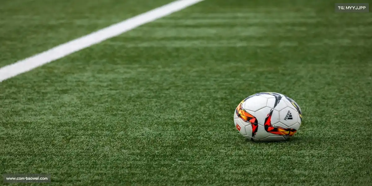 宝威体育官网——💃蹦床腾云，空中芭蕾！